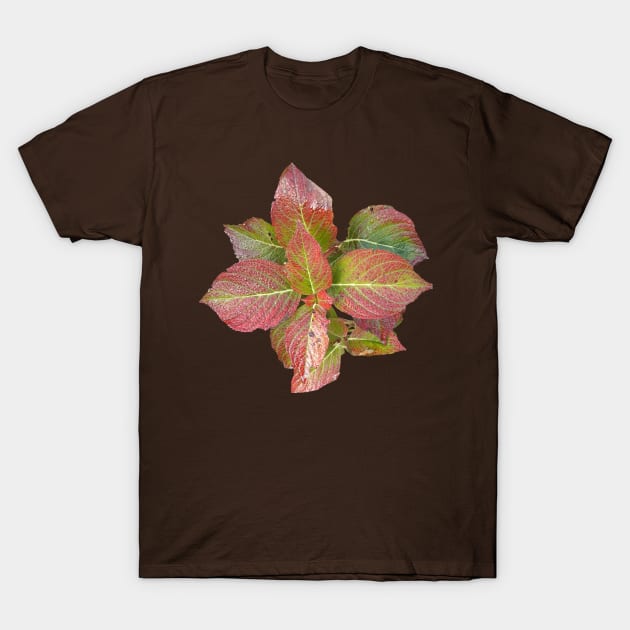 Red leaves T-Shirt by robelf